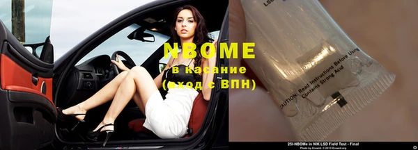 прущие грибы Алексеевка