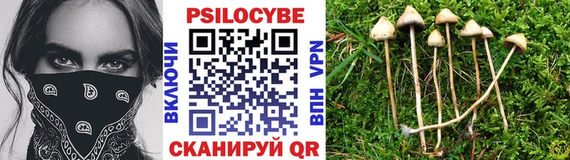 Псилоцибиновые грибы Magic Shrooms  Череповец 